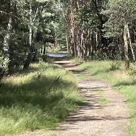 In Veluwe With Peaceful Surroundings
