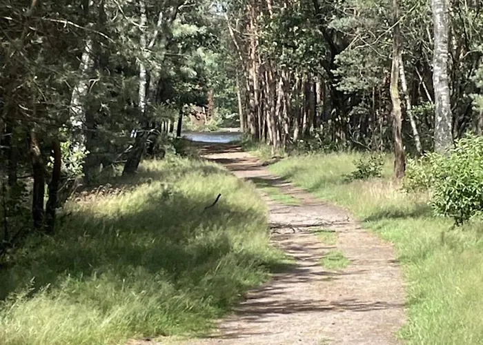 In Veluwe With Peaceful Surroundings