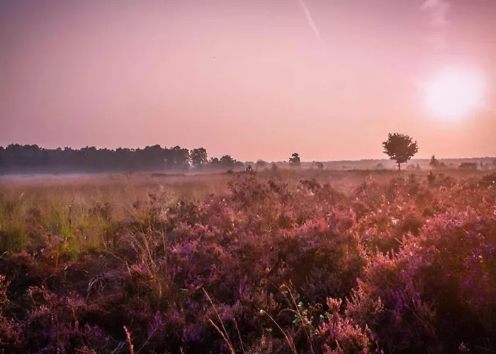 In Veluwe With Peaceful Surroundings Voorthuizen