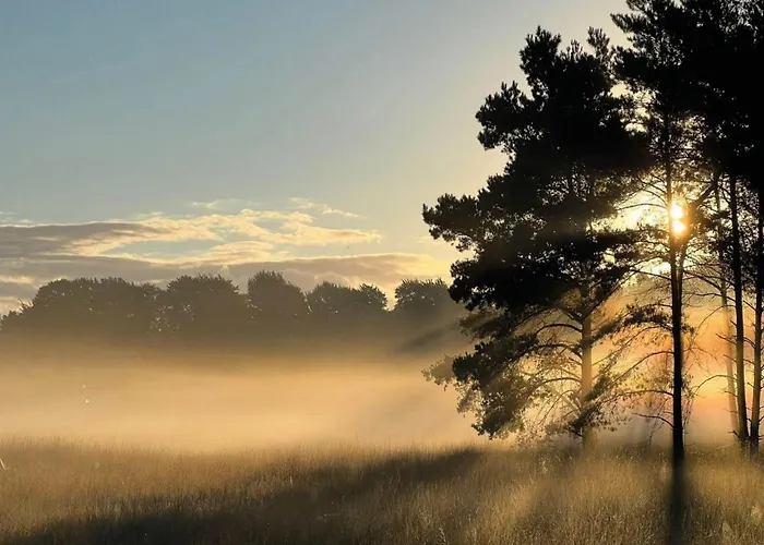 In Veluwe With Peaceful Surroundings Dom wakacyjny *