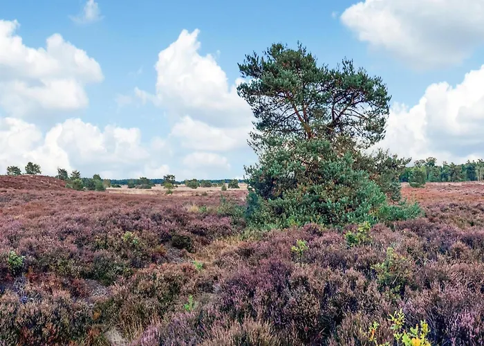 Dom wakacyjny In Veluwe With Peaceful Surroundings Voorthuizen