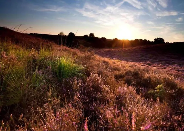 Dom wakacyjny In Veluwe With Peaceful Surroundings *