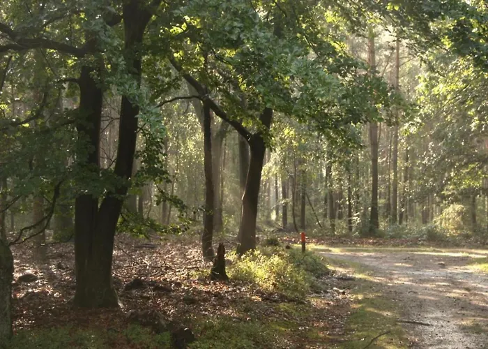 In Veluwe With Peaceful Surroundings Dom wakacyjny Voorthuizen