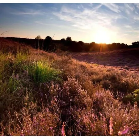 Дом отдыха In Veluwe With Peaceful Surroundings *