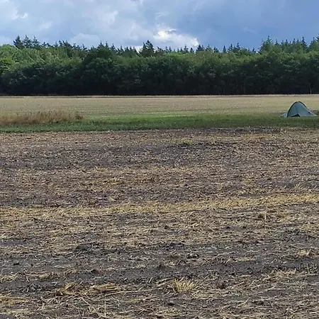 In Veluwe With Peaceful Surroundings Дом отдыха *